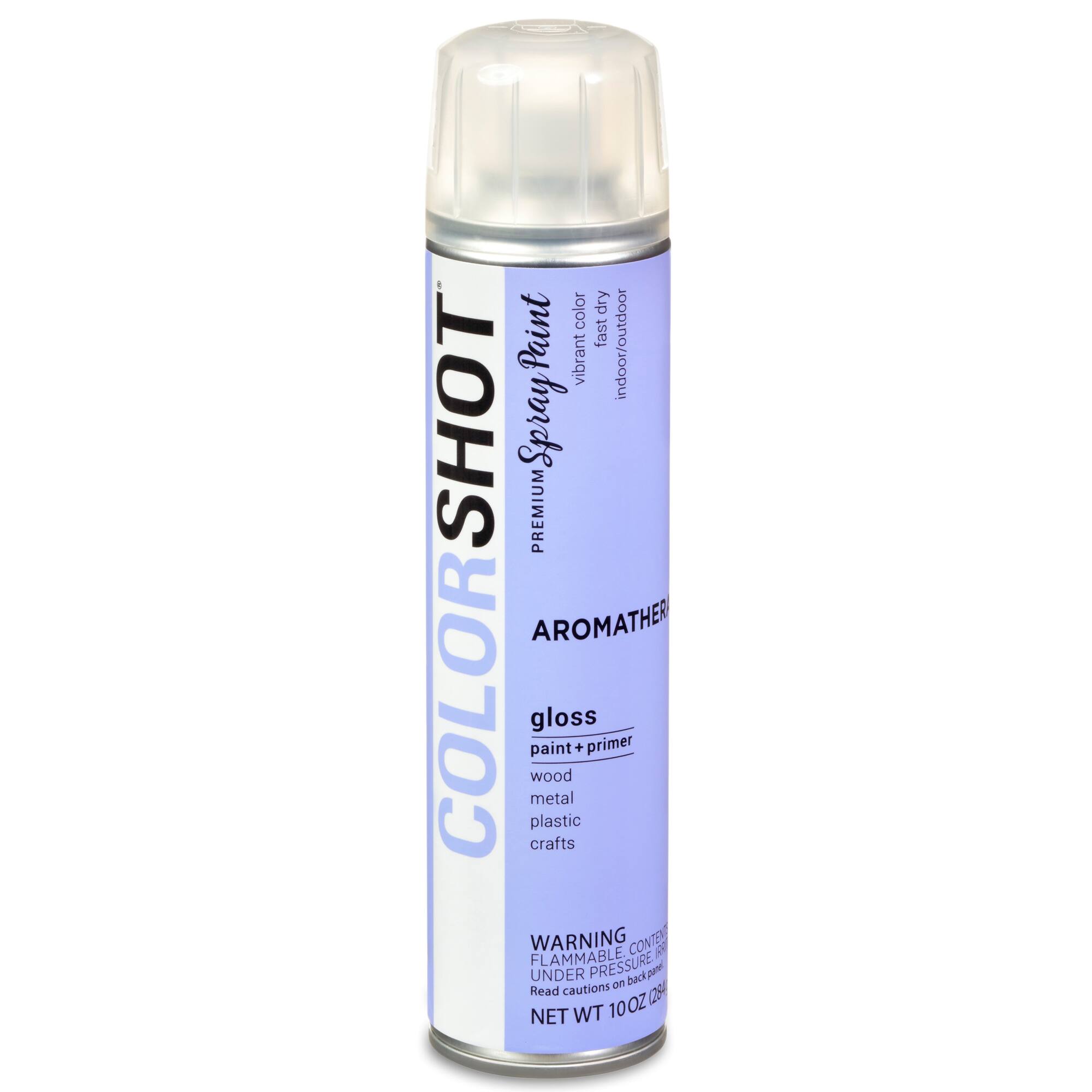 COLORSHOT® Premium Gloss Spray Paint